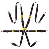 6-point Seatbelts