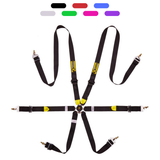 6-point Seatbelts